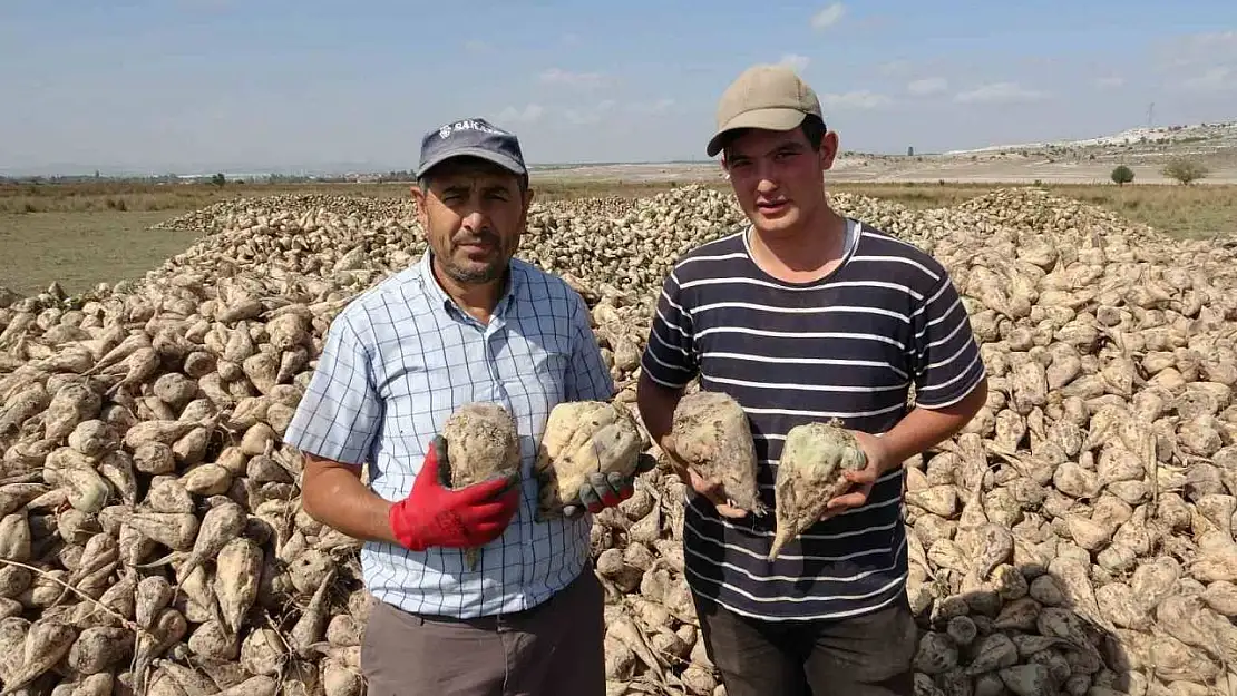 Kütahya'da pancar hasadı başladı