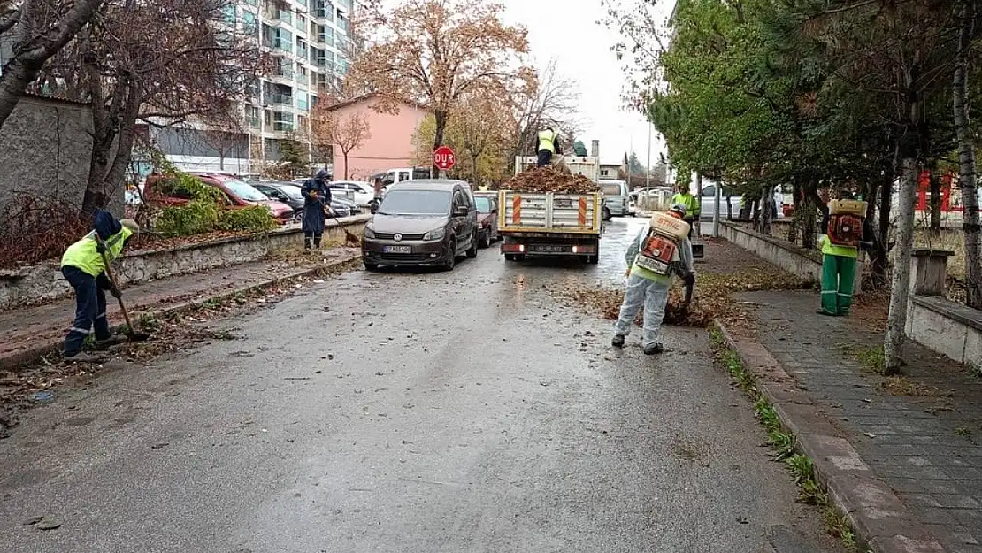 Kütahya'da sonbahar temizliği, belediye ekipleri sahada