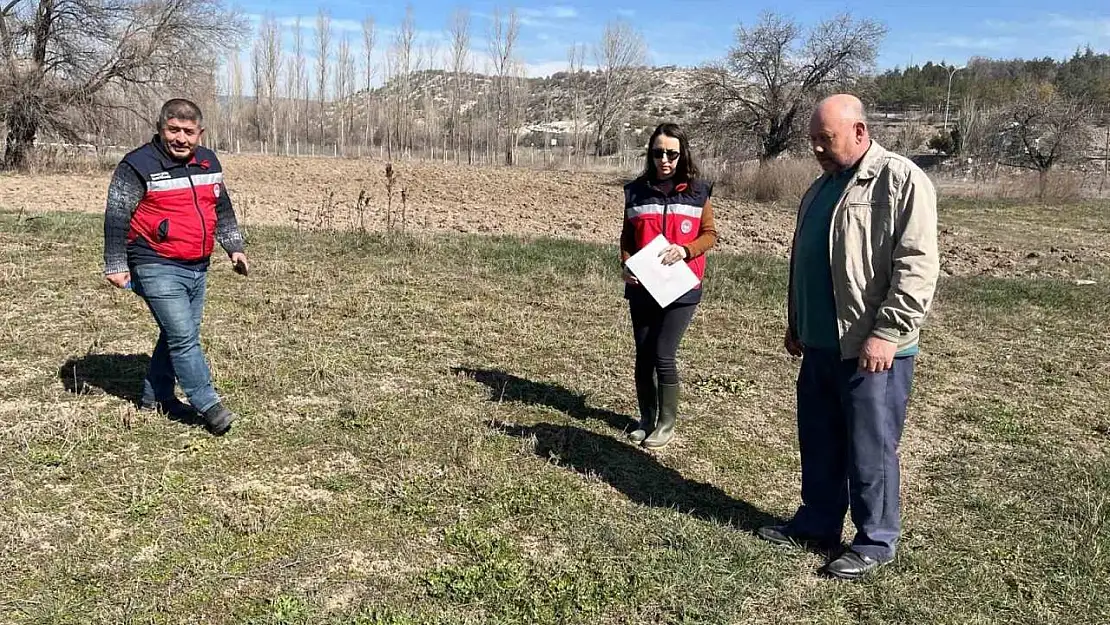 Kütahya'da tarla faresine karşı etkin mücadele çalışmaları
