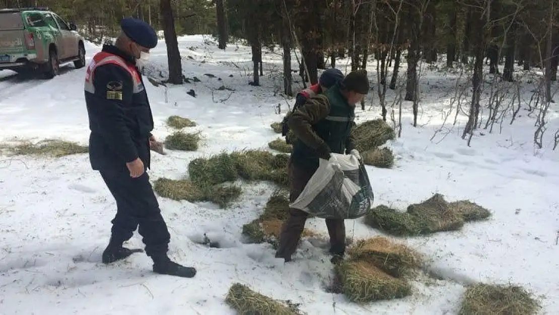 Kütahya'da yaban hayvanlarına yem bırakıldı