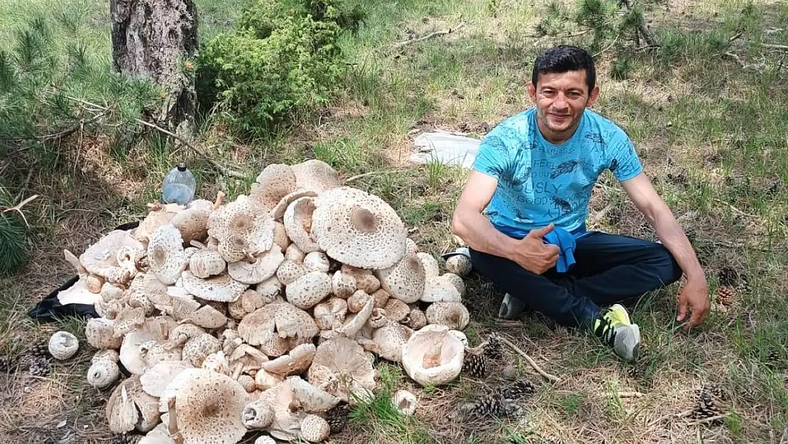 Kütahya'da yağışlar mantara bereket, sofralara lezzet getirdi