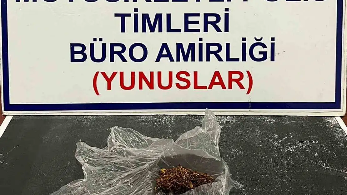 Kütahya'da Yunus Timleri şahsın üzerinde bonzai ele geçirdi