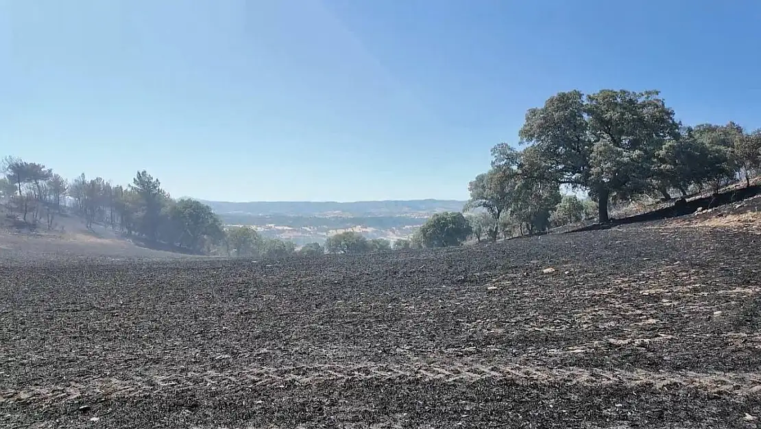 Kütahya'daki orman yangını kontrol altına alındı