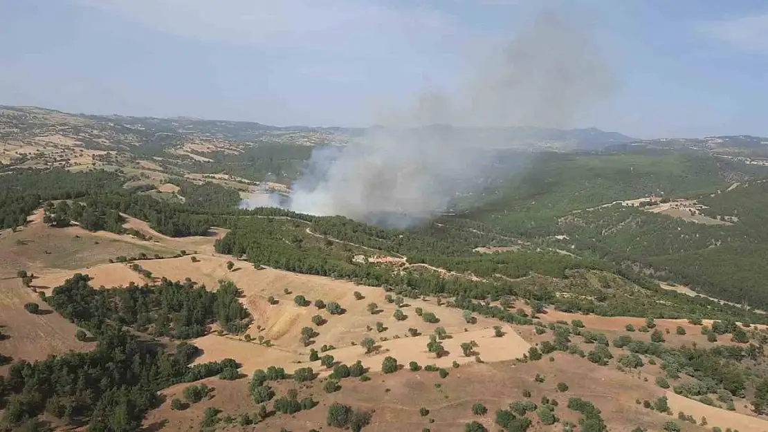 Kütahya Gediz'de orman yangını devam ediyor