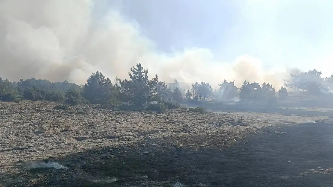 Kütahya'nın Sofça köyü yakınlarındaki orman yangını korkuttu