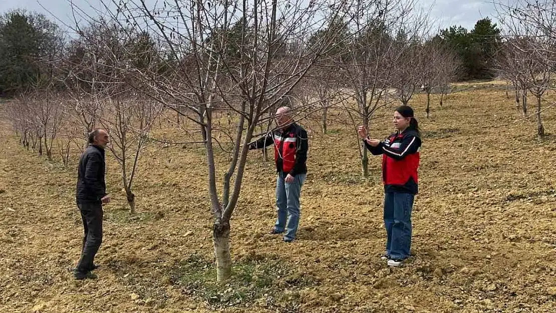 Kütahya Tarım ve Orman İl Müdürlüğü'nden çiftçilere monilya hastalığı uyarısı