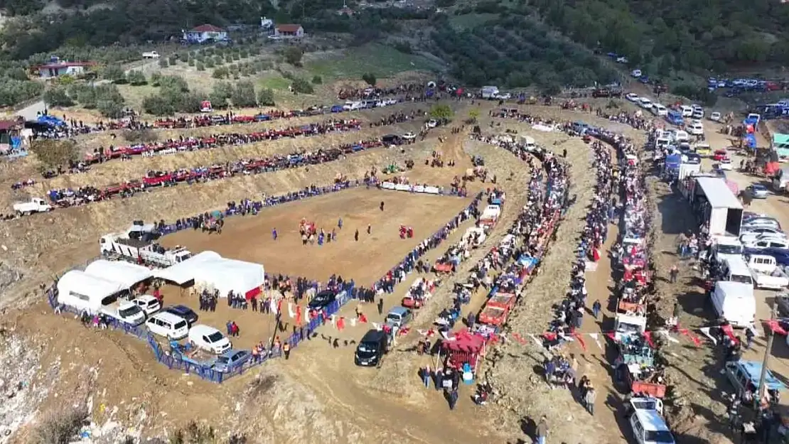 Kuyucak'ta pehlivan develer şampiyonluk için güreşti