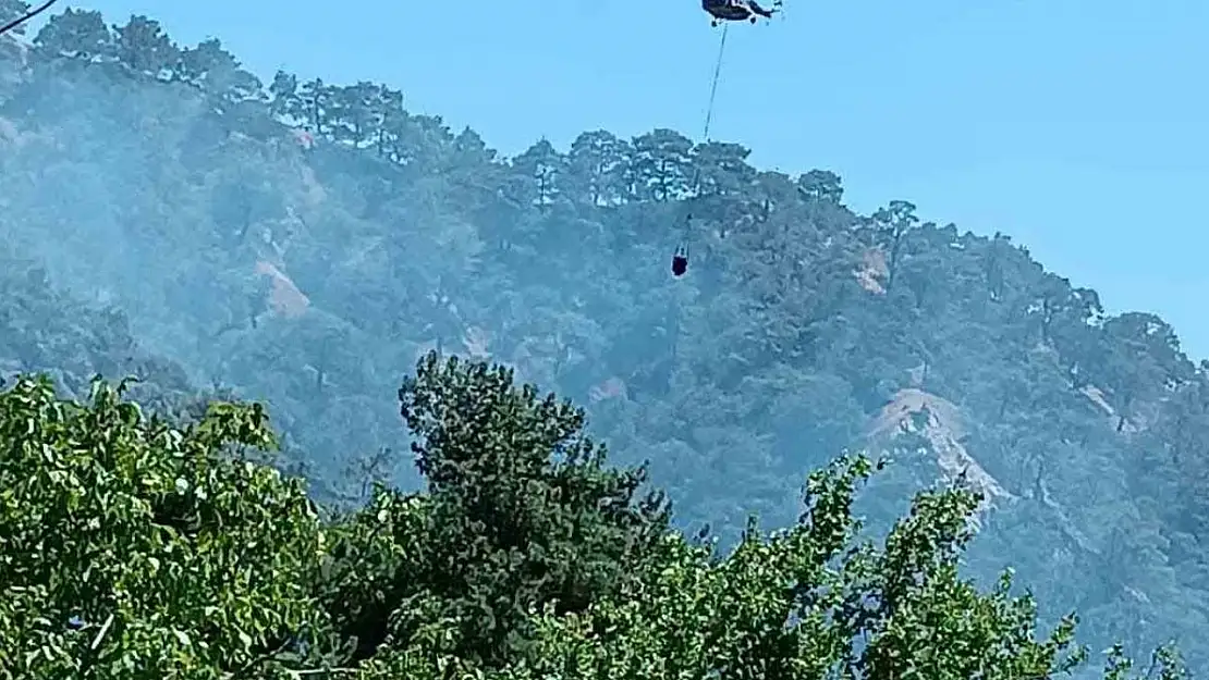 Kuyucak'taki orman yangınının sebebi belli oldu