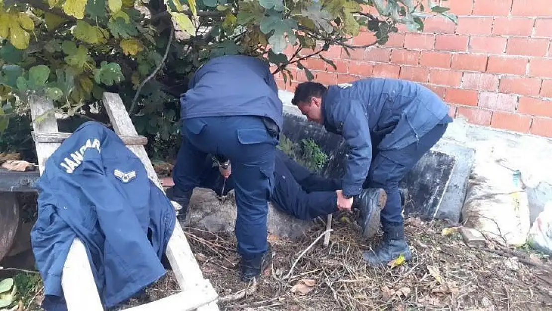 Kuyuya düşen köpeği jandarma kurtardı