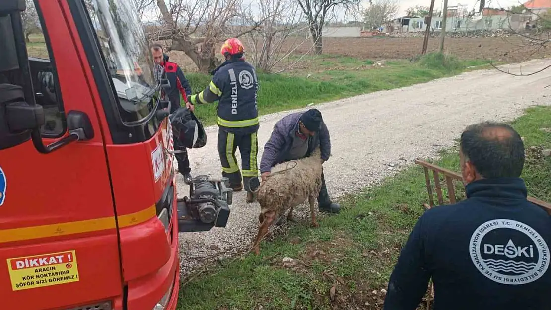 Kuyuya düsen koyun itfaiye ekipleri tarafından kurtarıldı