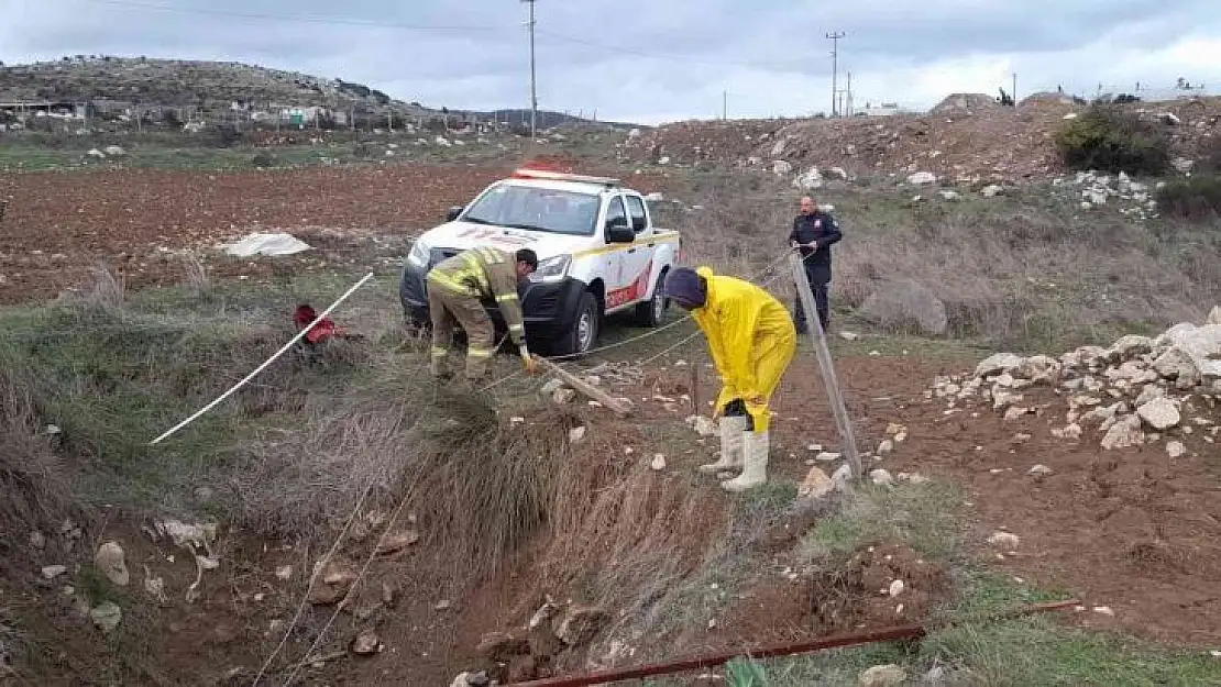 Kuyuya düşen koyunu itfaiye kurtardı