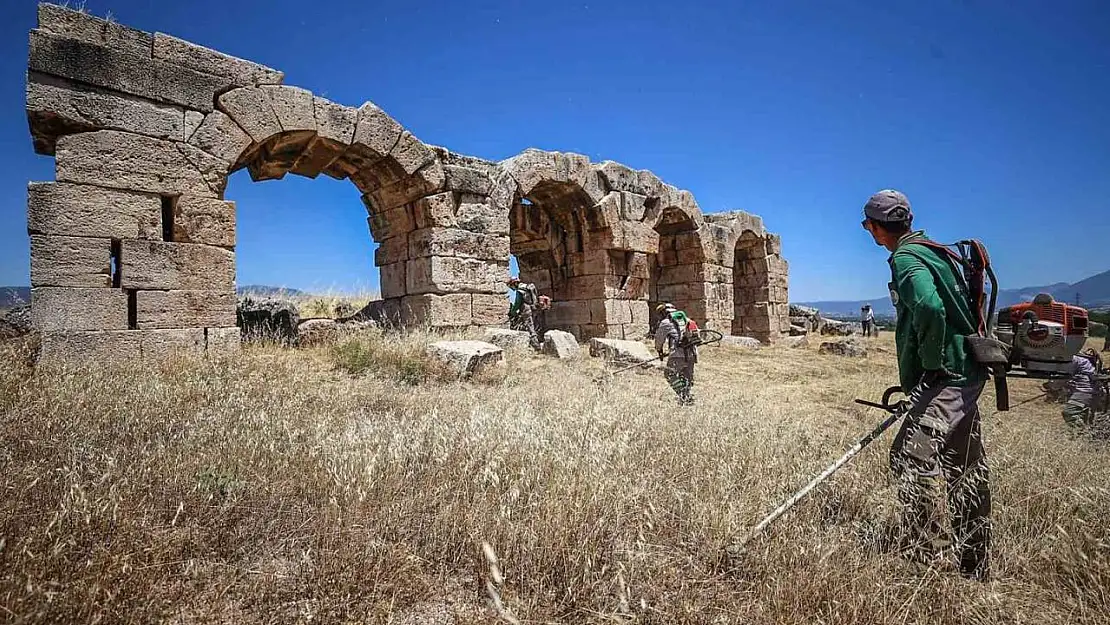 Laodikya yangın riskine karşı otlardan temizledi