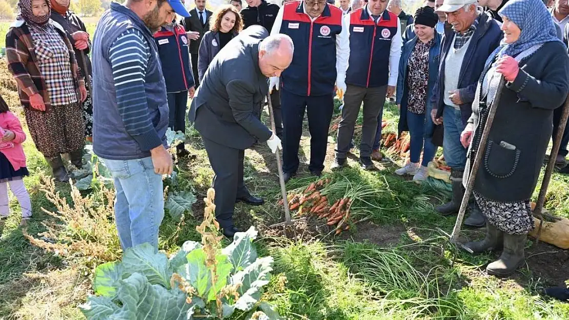 Lezzetiyle meşhur Çakır havucunda hasat başladı