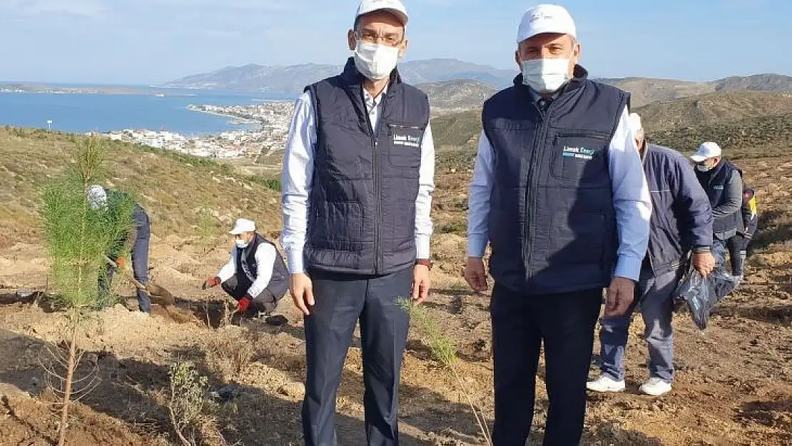 Limak Enerji Balıkesir'i ağaçlandıracak