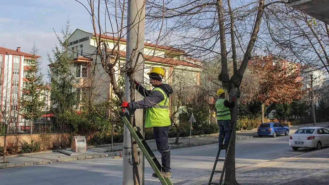 Mahallelerde ağaç budama çalışmaları