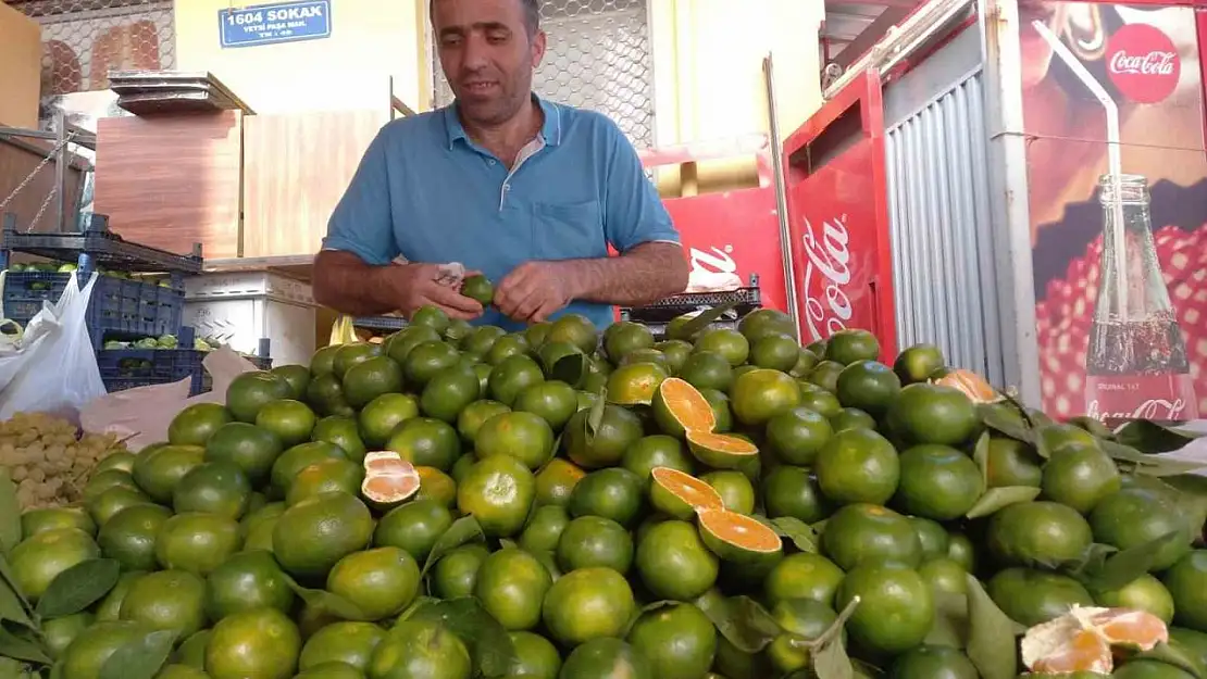 Mandalina Aydın'daki semt pazarındaki tezgahlarda yerini aldı