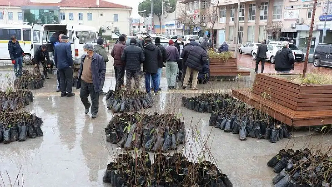 Manisa Büyükşehir Belediyesinden üreticiye fidan desteği