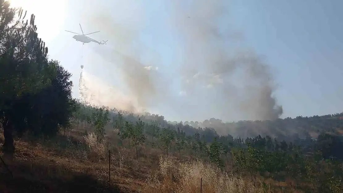 Manisa'da 50 hektar alan kül oldu