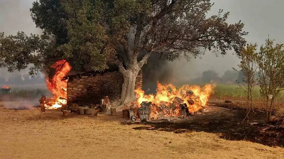 Manisa'da bir gün arayla çıkan orman yangınları devam ediyor