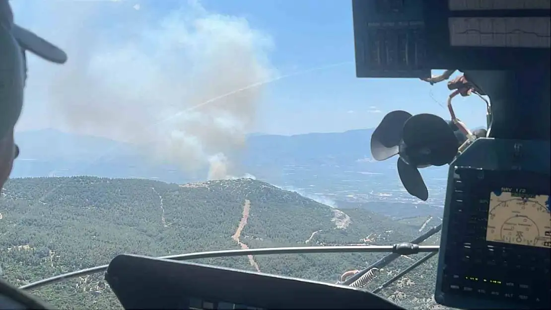 Manisa'da bir orman yangını daha başladı