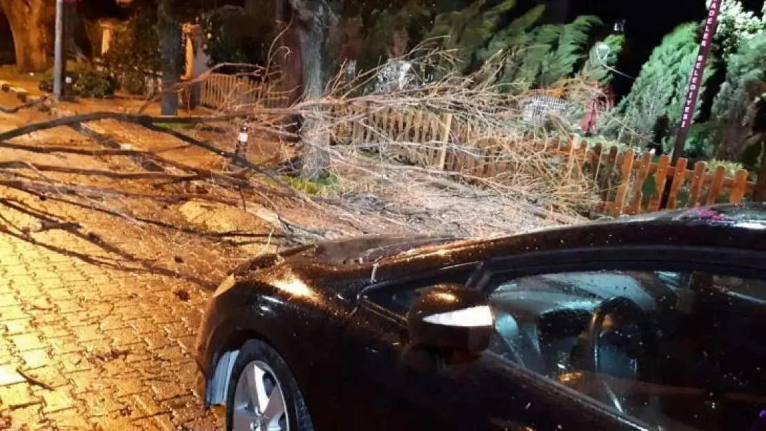 Manisa'da fırtına ağaçları devirdi çatıları uçurdu