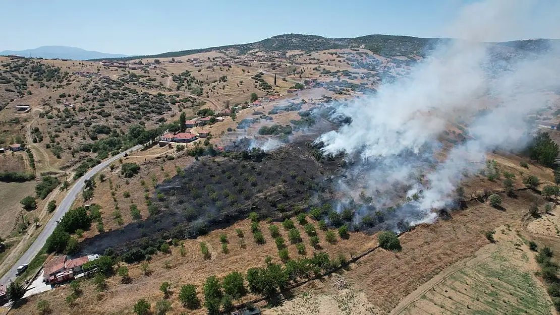 Manisa'da makilik alanda yangın