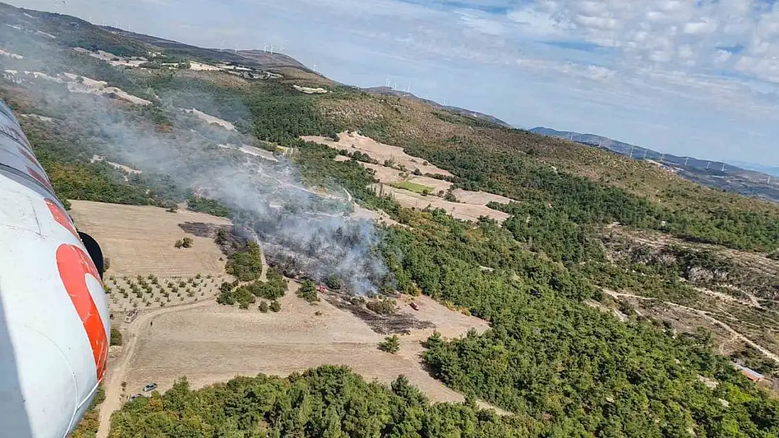 Manisa'da orman yangını