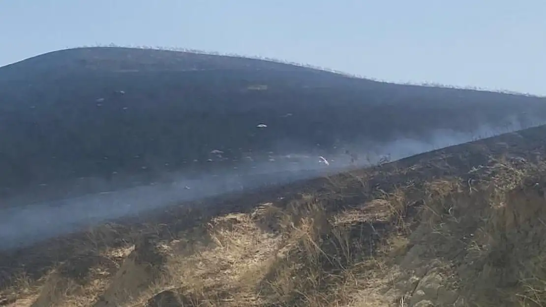 Manisa'da otluk alanda yangın: 1 kişi dumandan etkilendi