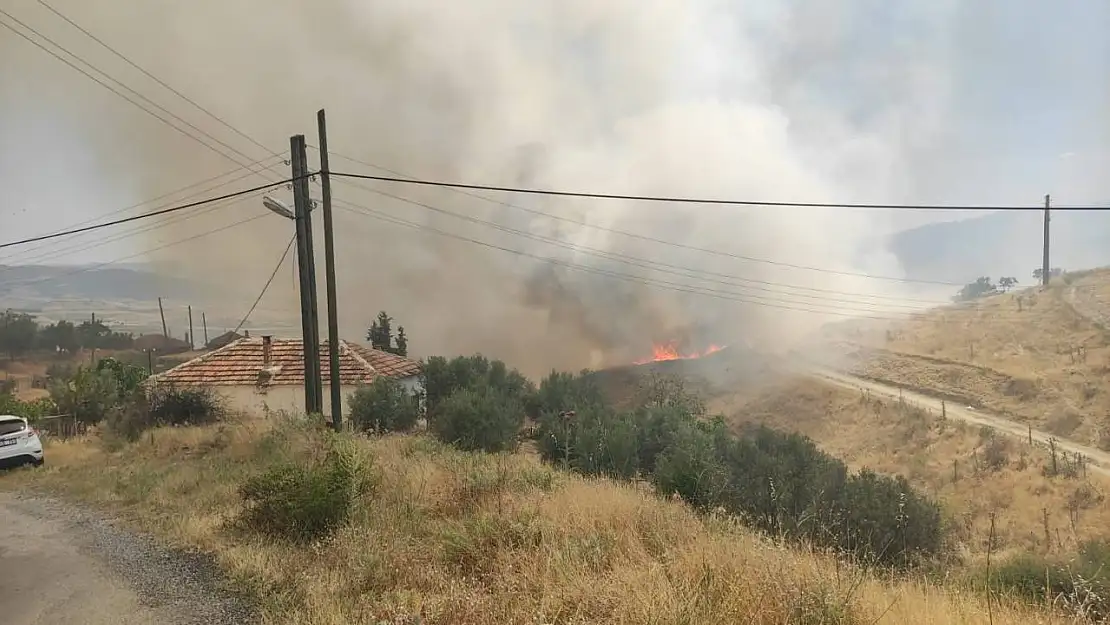 Manisa'da zirai alanda yangın