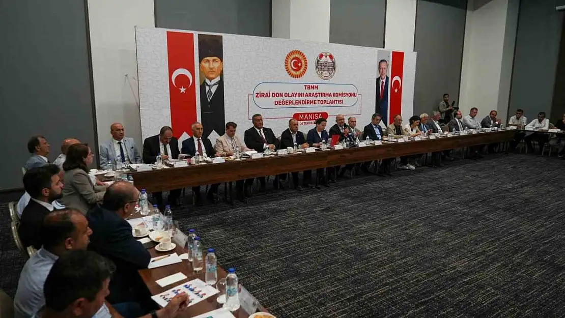 Manisa'da zirai don çalıştayı