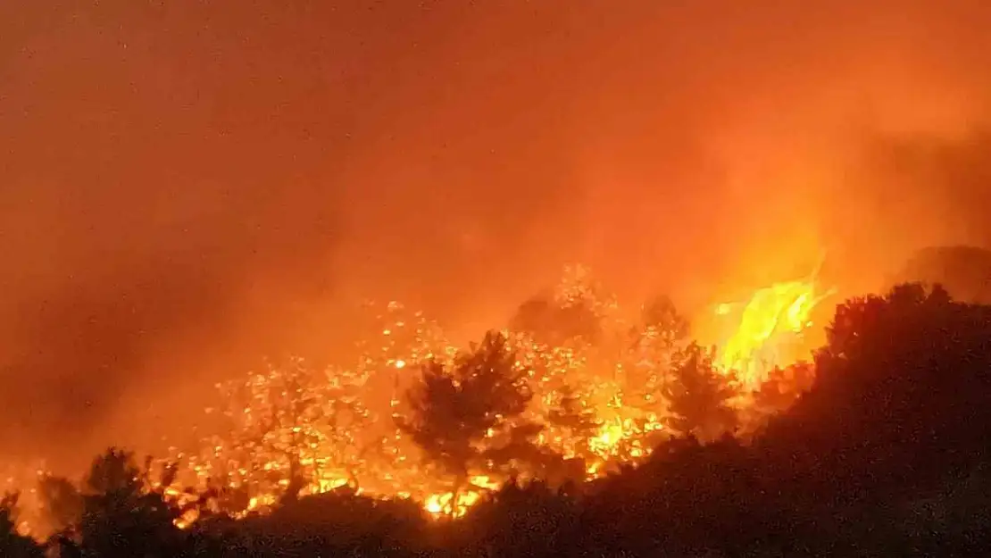 Manisa'daki orman yangını 80'inci saatinde