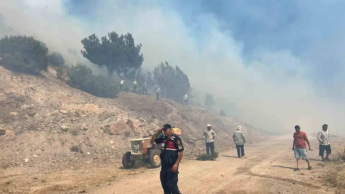 Manisa'daki orman yangını kontrol altına alındı
