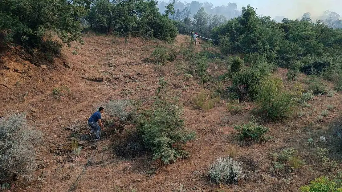 Manisa'daki orman yangını söndürüldü