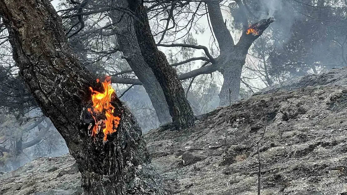 Manisa'daki orman yangınında çalışmalar iyiye gidiyor