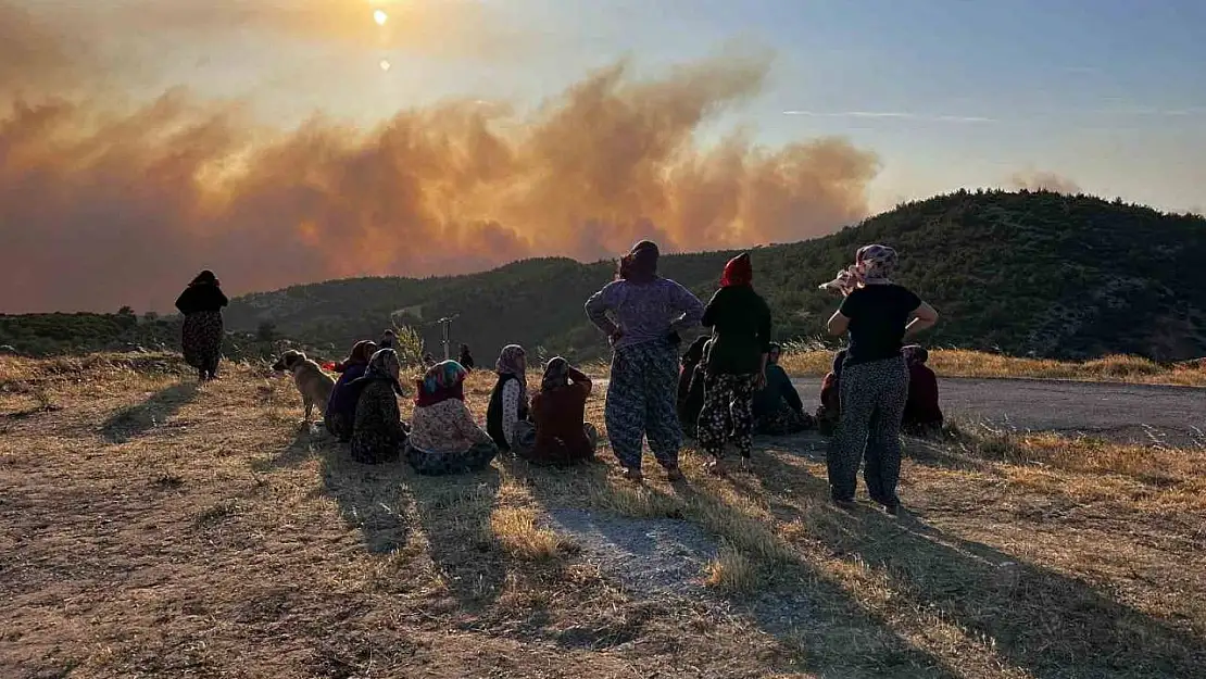 Manisa'daki orman yangınıyla ilgili son durumu Vali Özkan açıkladı