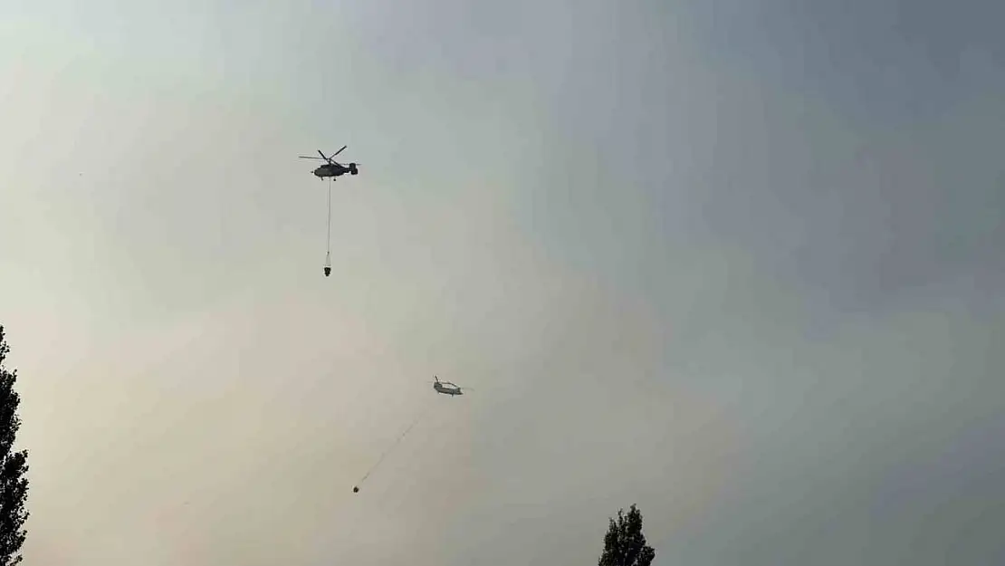 Manisa'nın Ahmetli ilçesindeki orman yangınına müdahale sürüyor
