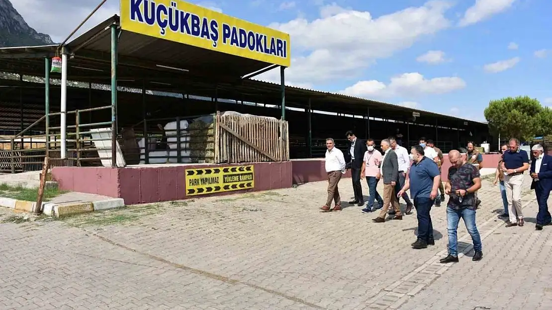 Manisa'nın en büyük ilçesinde kurban pazarı olmayacak