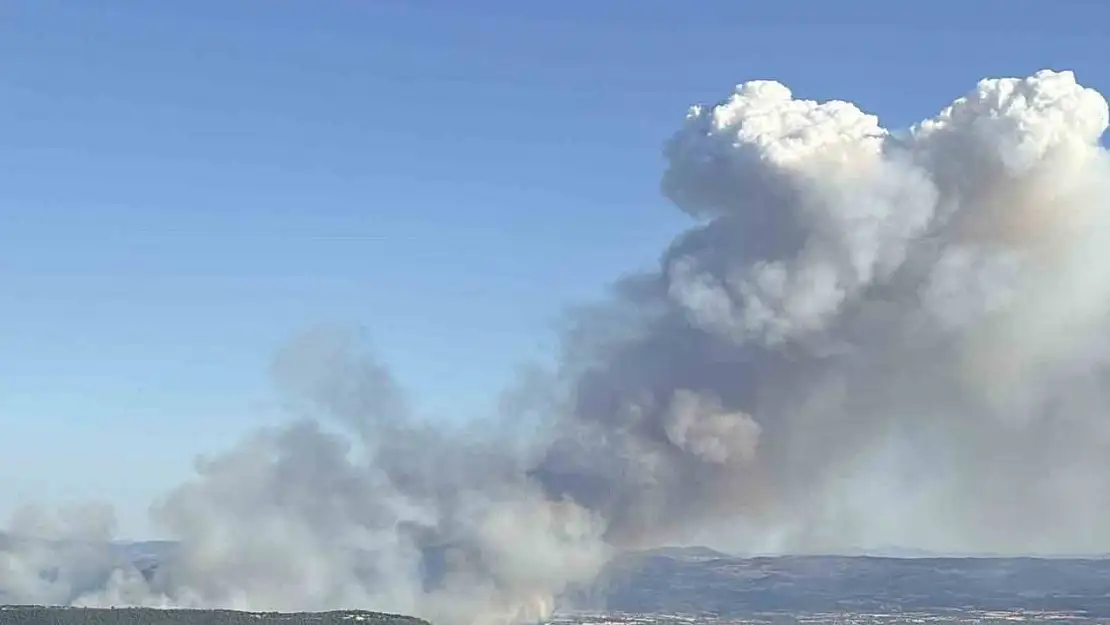 Manisa'nın farklı bir noktasında daha orman yangını çıktı