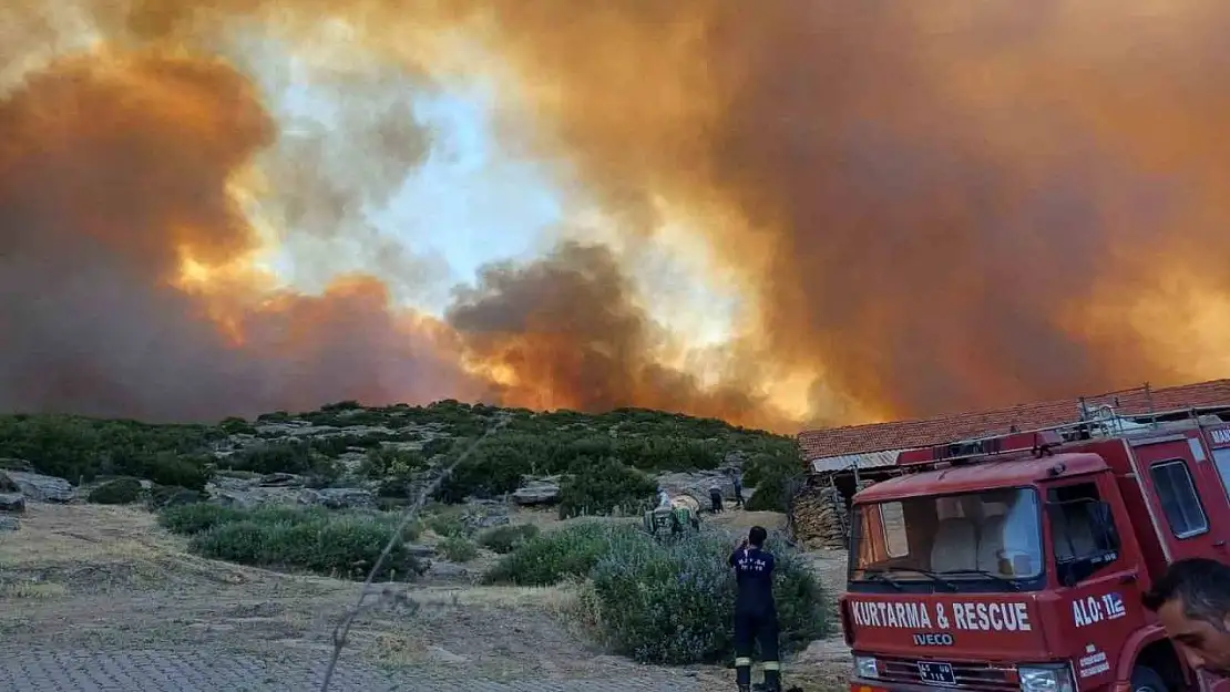 Manisa Salihli'deki orman yangını kontrol altına alındı