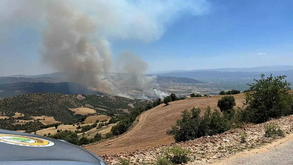 Manisa Valiliğinden yangına ilişkin açıklama