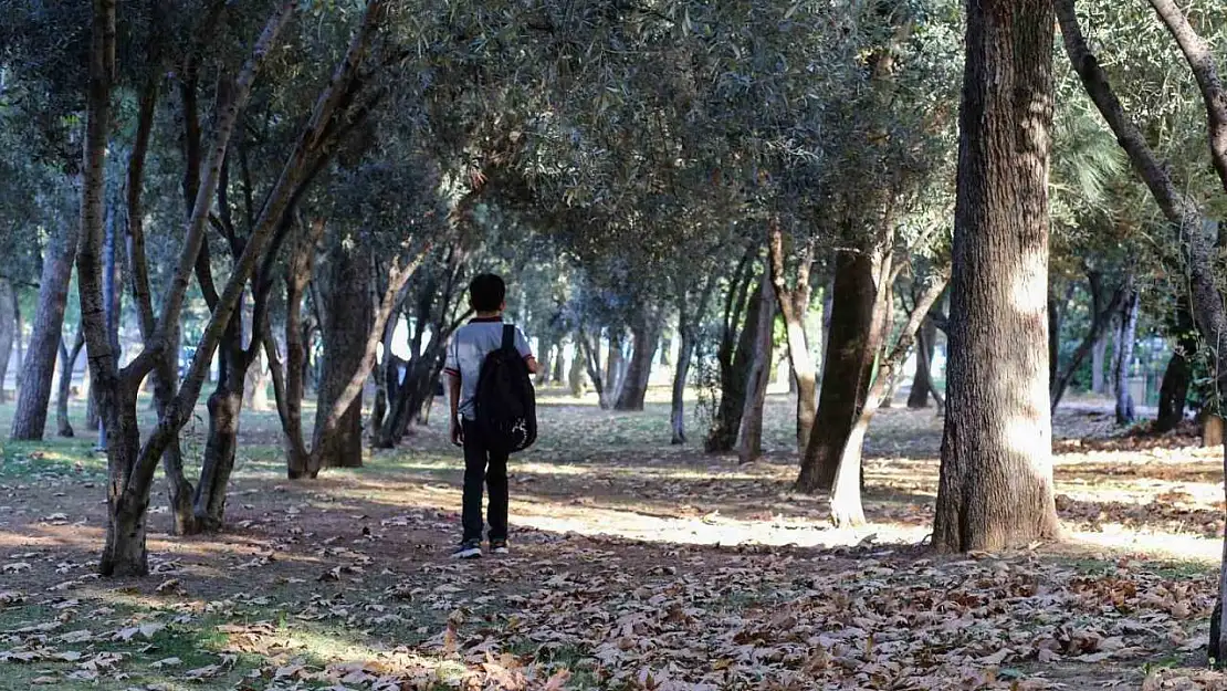 Manisa'ya sonbahar güzelliği geldi