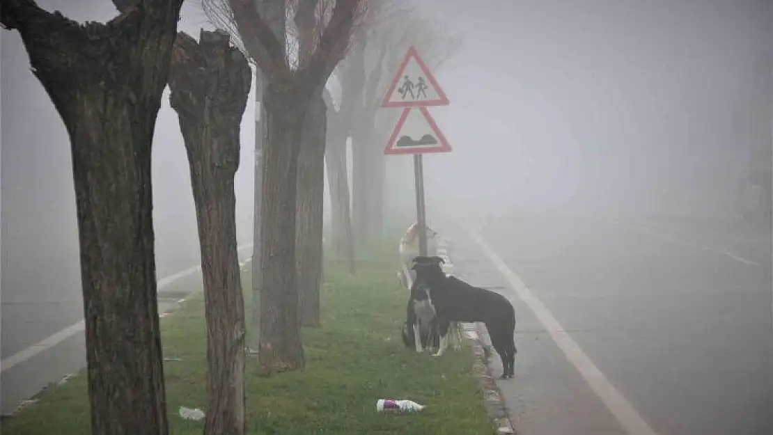 Manisa yeni yıla sis altında uyandı