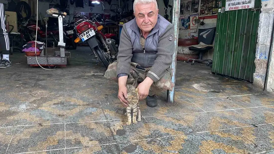 Manisalı esnafın duyarlılığı bir kediyi hayata bağladı