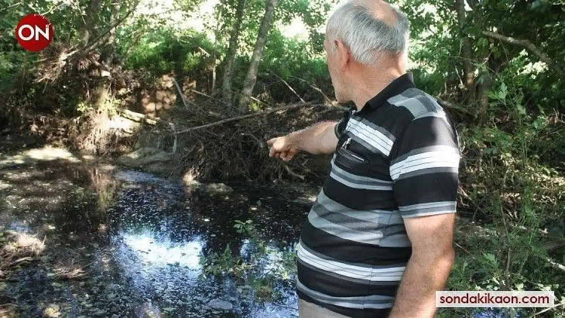 Manyas'ta derelerde kirliliğin önü alınmıyor