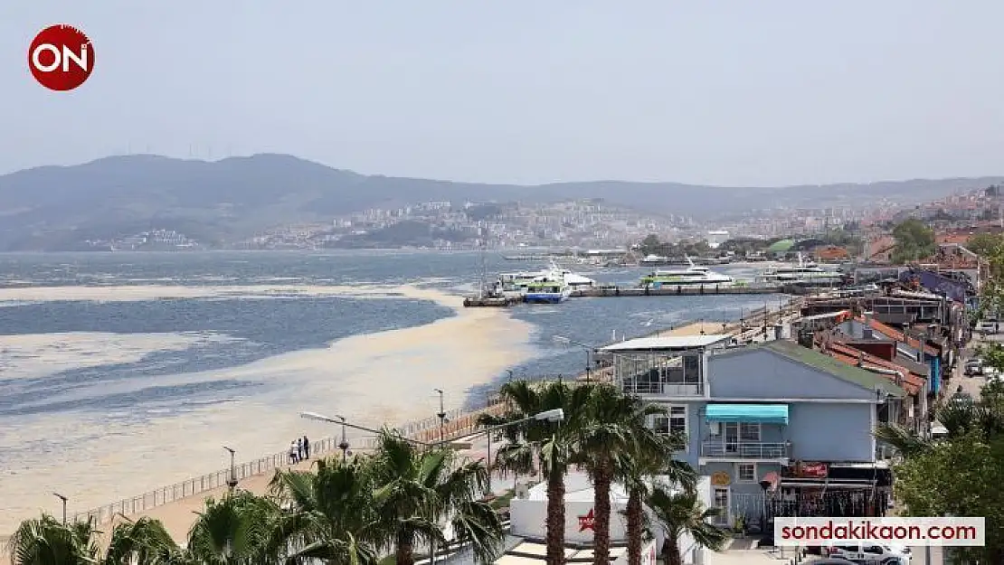 Marmara'da deniz salyasına karşı ortak mücadele
