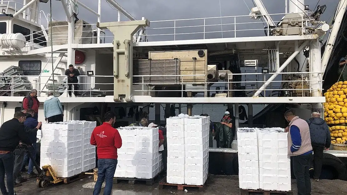 Marmara'da hamsi dönemi başladı