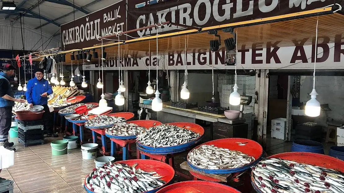 Marmara'da hamsinin zayıf kalması fiyatlara yansıdı