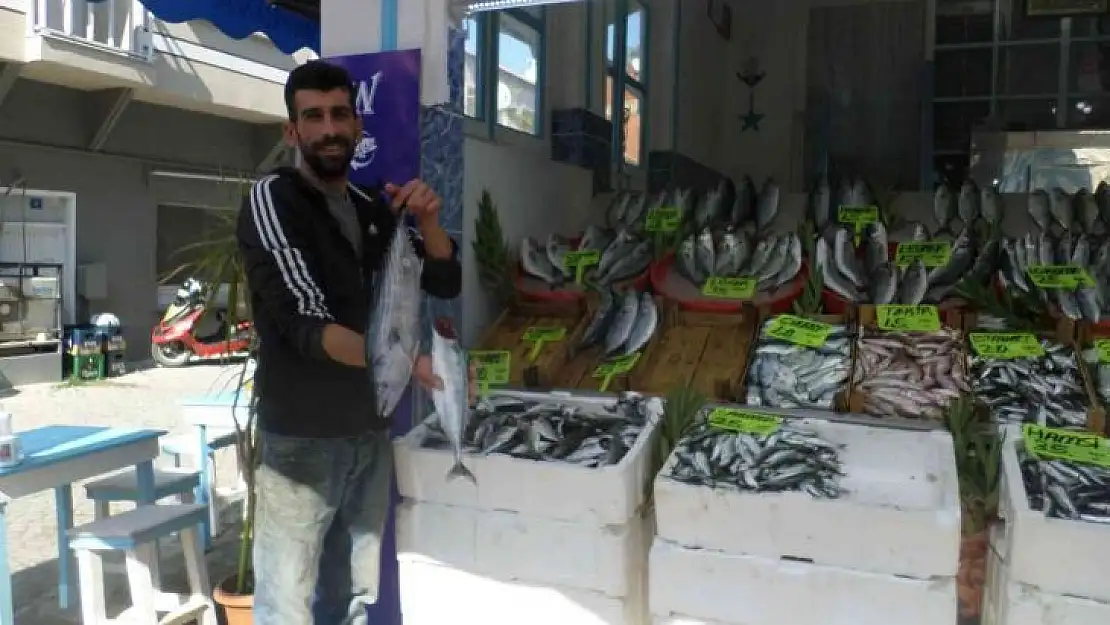 Marmara'da sıcaklık düşünce balık fiyatları geriledi