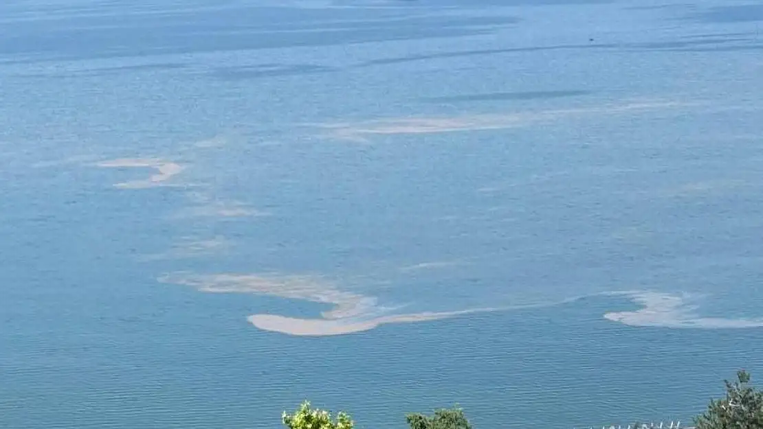 Marmara Denizi'nde müsilaj endişesi