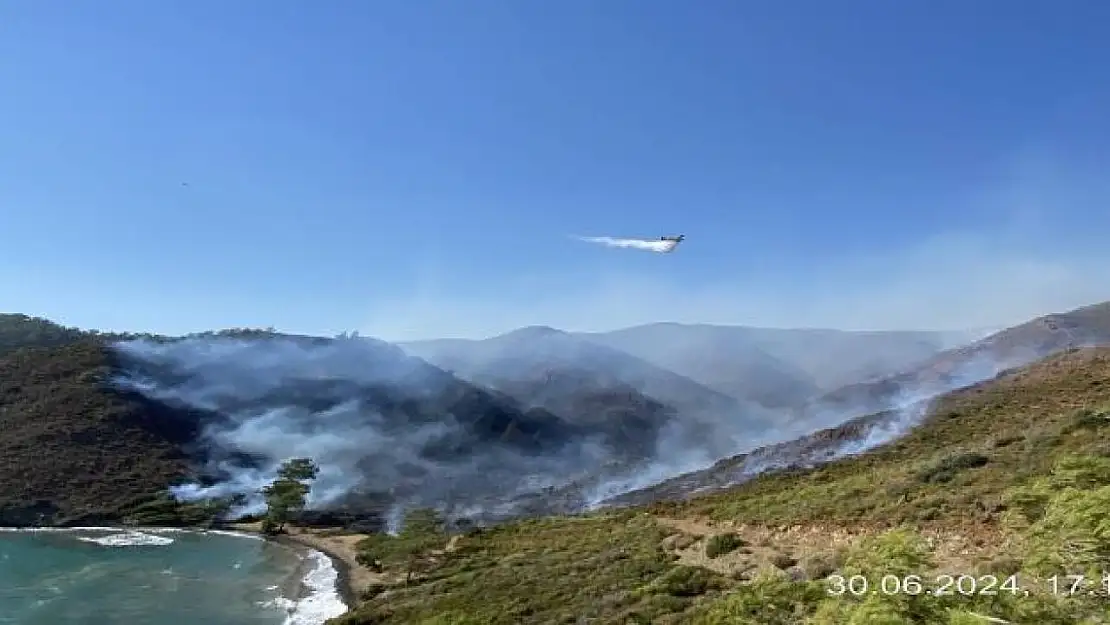 Marmaris Bördübet  yangınında üç kişi gözaltına alındı